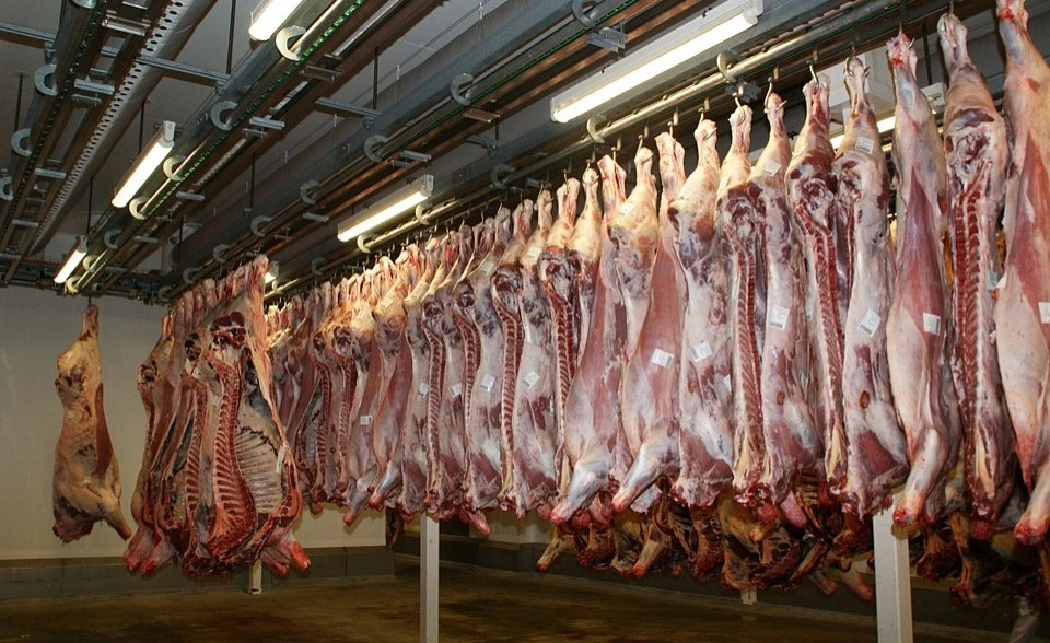 Kenya Meat Commission Faces Uncertain Future Amidst Sh410 Million Losses