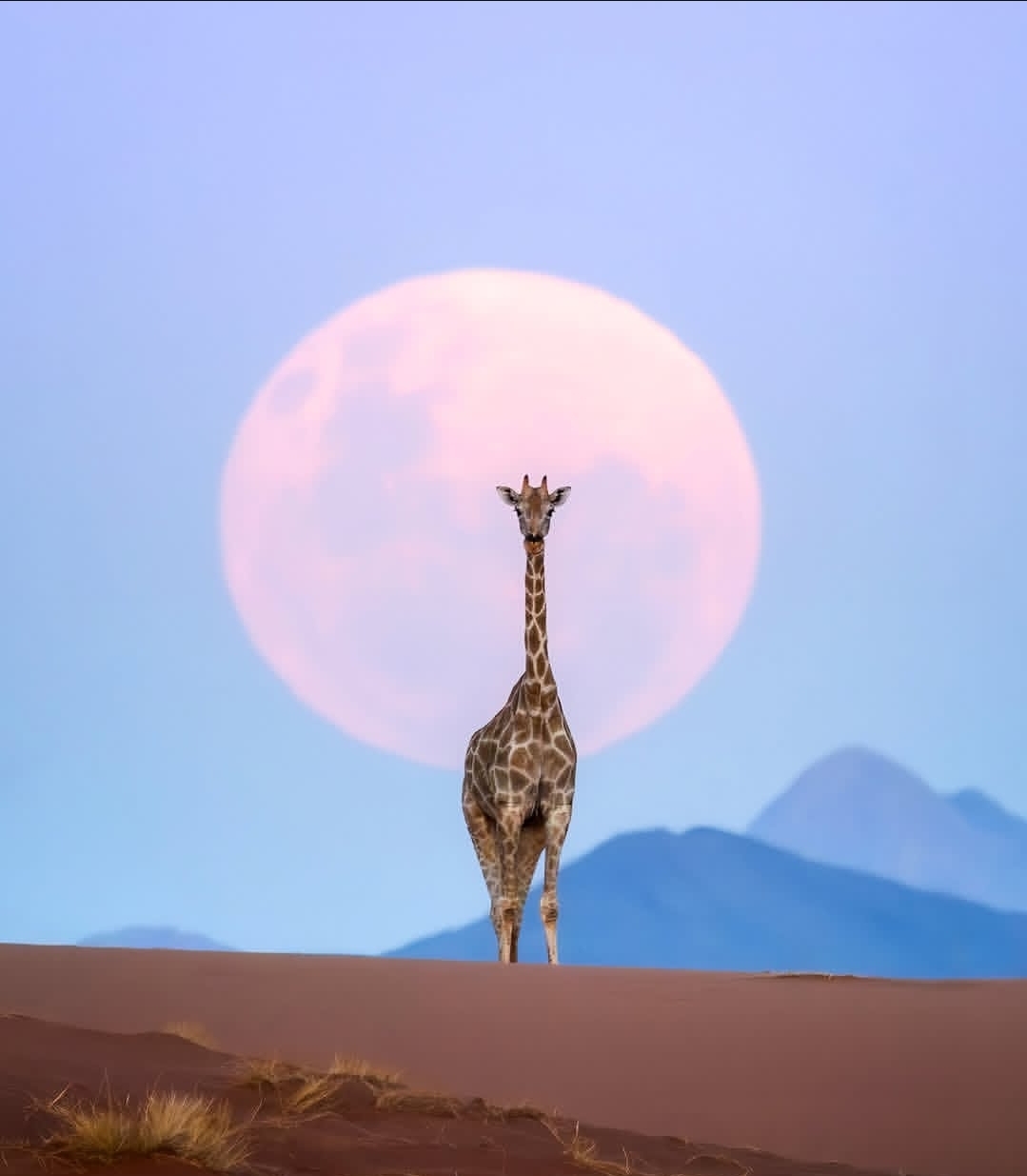 The Sprint for the Shot of a Lifetime