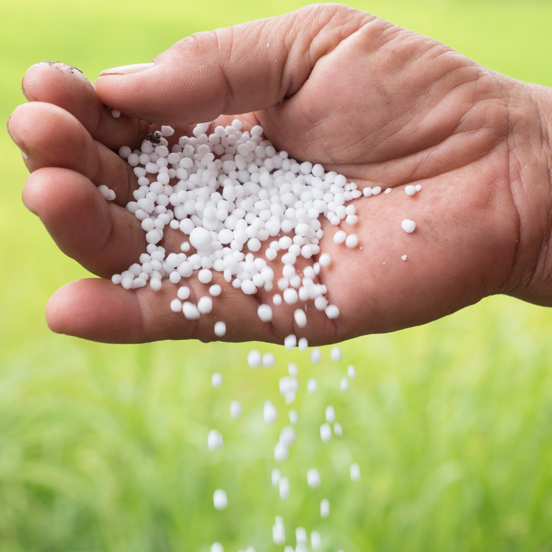 The Foundation of Food Security: Understanding Modern Fertilizers