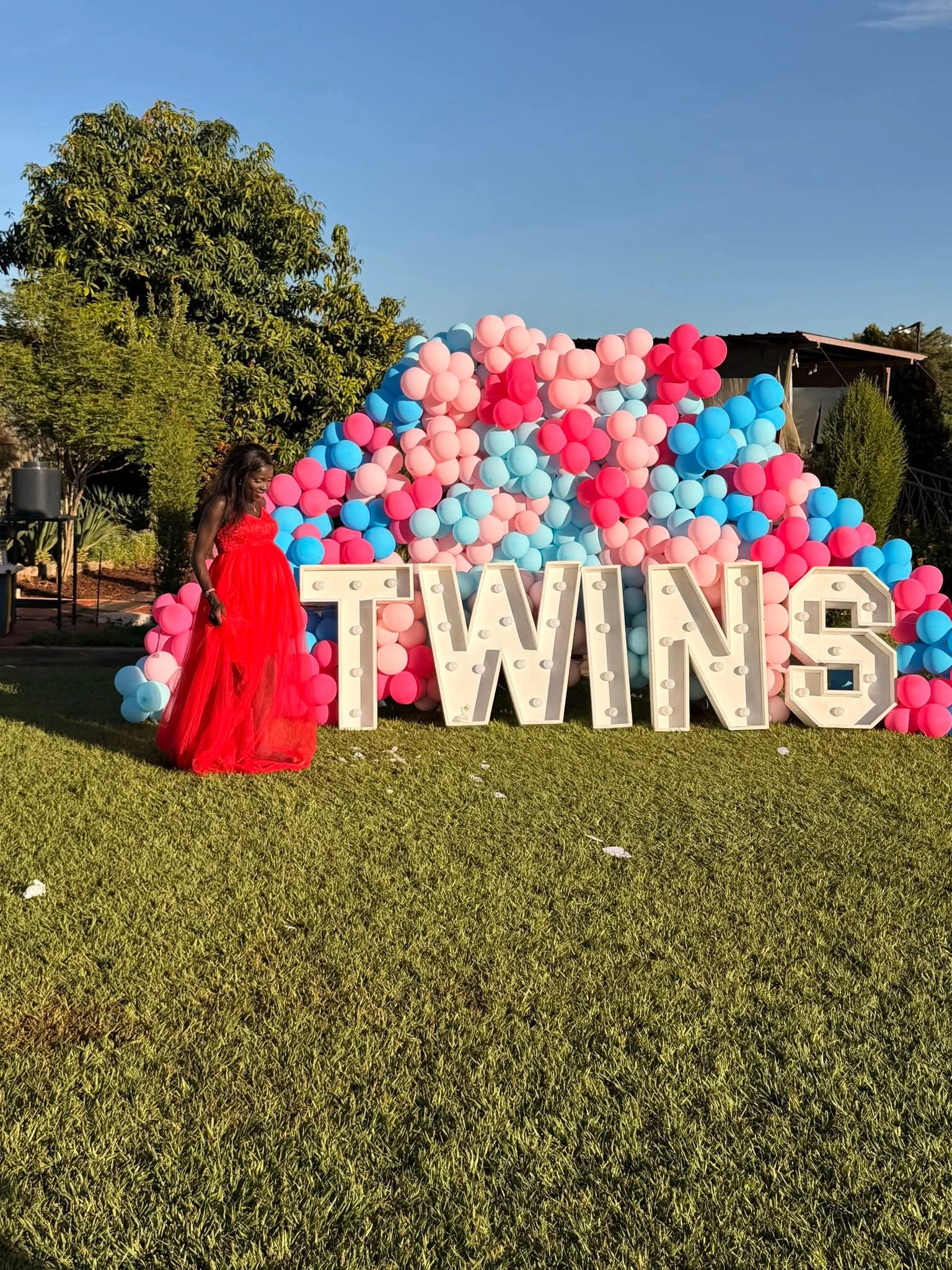 Double the Joy: Dem Wa Facebook Reveals She is Expecting Twins