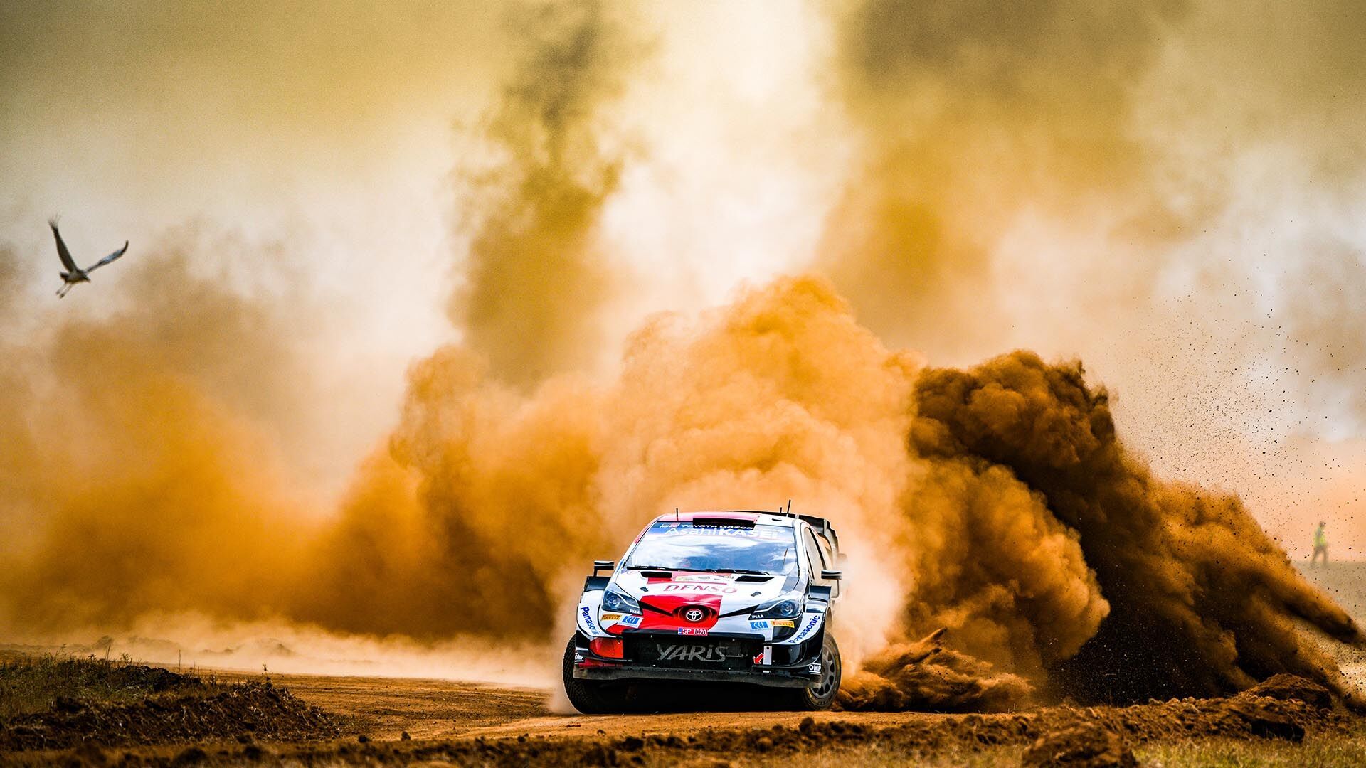 Thrill in Naivasha : Safari Rally 2026 Shakedown draws Thousands of motorsports Fans