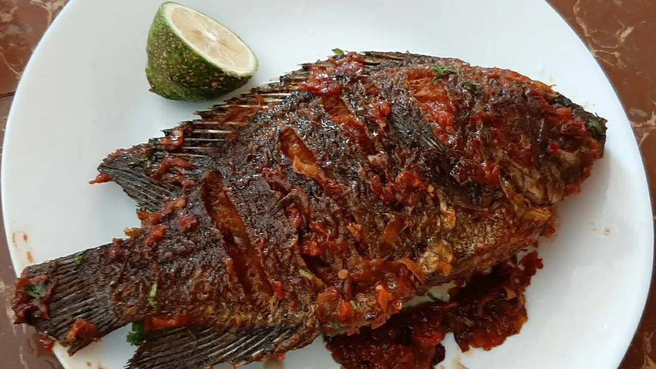 The Silent World : Why We're Still Obsessed With Fish