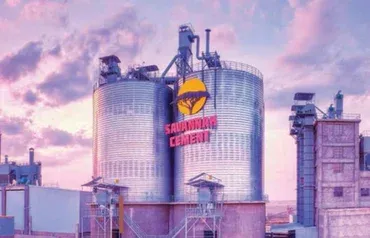 Resilience in the Rift: The Evolution and New Dawn of Savannah Cement