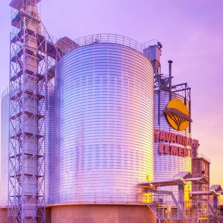 Resilience in the Rift: The Evolution and New Dawn of Savannah Cement