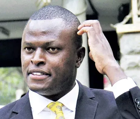 The Battle for the Mountain: Why Unity is the Only Path Forward for Mt. Kenya