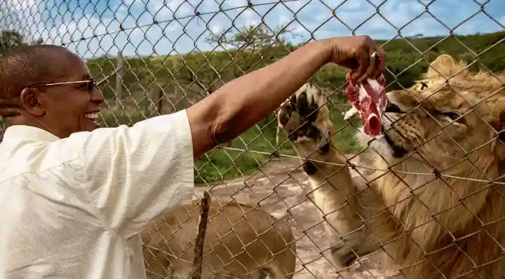 MUTULA KILONZO: THE SENATOR WHO SPENT KSH 700,000 A MONTH FEEDING LIONS ON HIS PRIVATE RANCH.