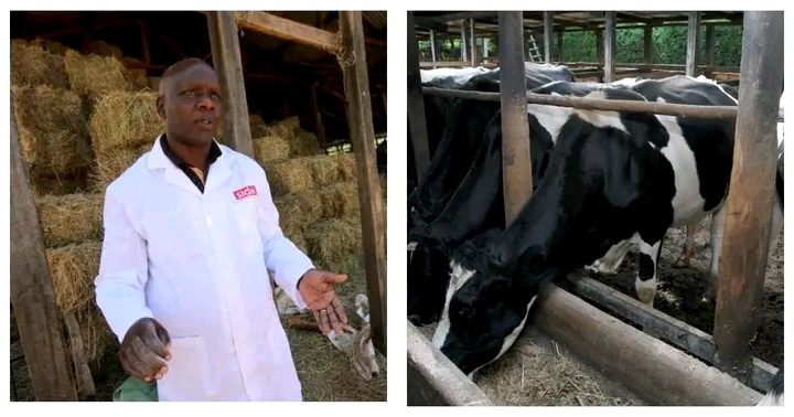 Willy Kirwa: From School Dropout To Dairy Tycoon