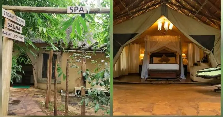 Cranes Haven: Kitale's Luxury Retreat