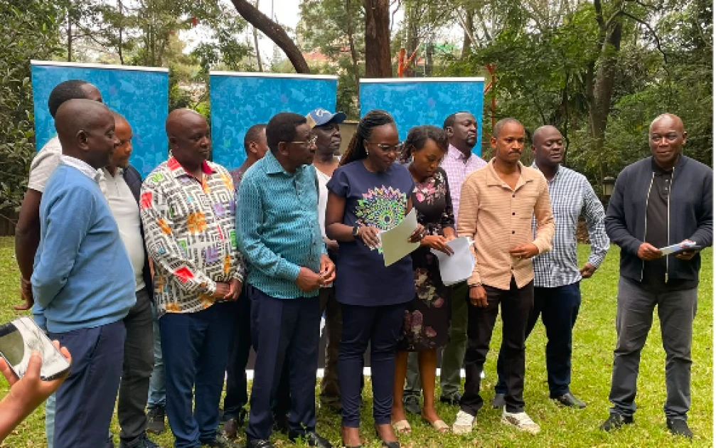 Linda Mwananchi Demands Investigation into Homa Bay Violence, Names Wanga and Kaluma
