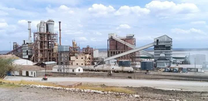 Kenya Suspends Tata Chemicals Magadi Operations Over Regulatory Non-Compliance