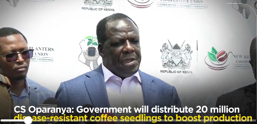 Government to Roll out 20 Million  Disease -Resistant Coffee seedlings  Boost to Farmers .