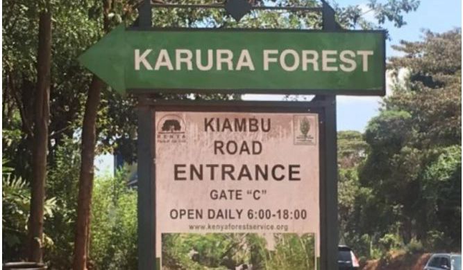 KARURA FOREST CLEARED FOR TREE NURSERY.
