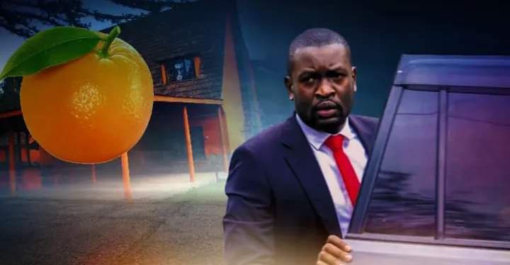 PPDT STRIKES OUT SIFUNA'S PETITION.