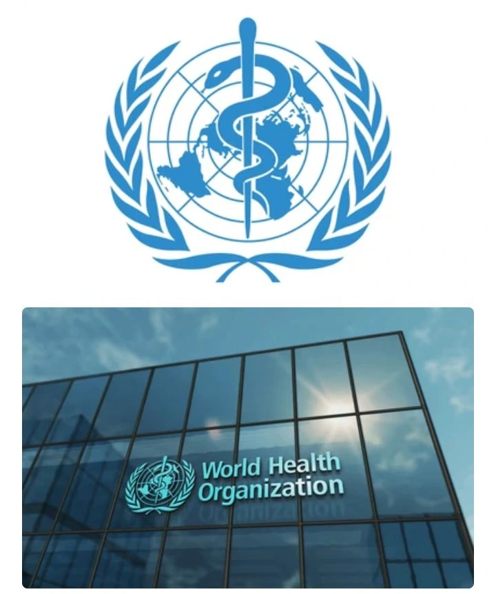 World Health Summit 2026 Opens in Nairobi