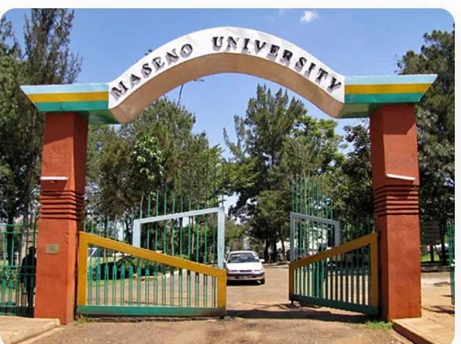 COURT HALTS MASENO UNIVERSITY VC RECRUITMENT AS PROF. MARY ABUKUTSA-ONYANGO CHALLENGES EXCLUSION.