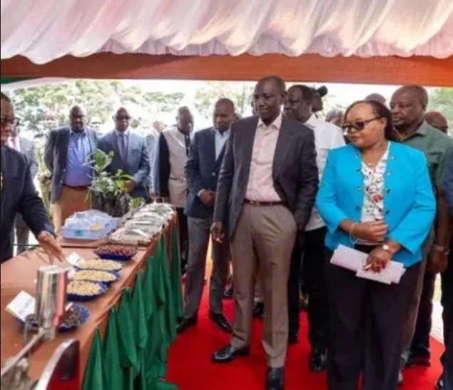Ruto Defends Finance Bill 2026, Backs Coffee Farmers Plan