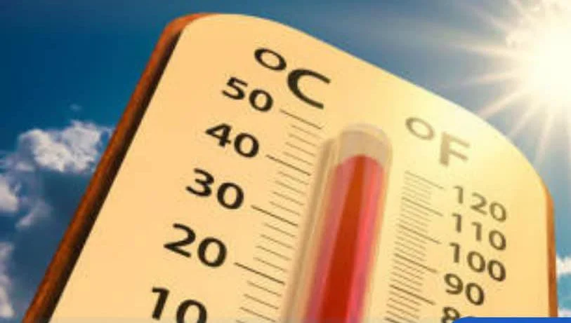 Germany's Deadly Heatwave: Fatalities Spike by 32% in One Week, Experts Warn of Climate Emergency