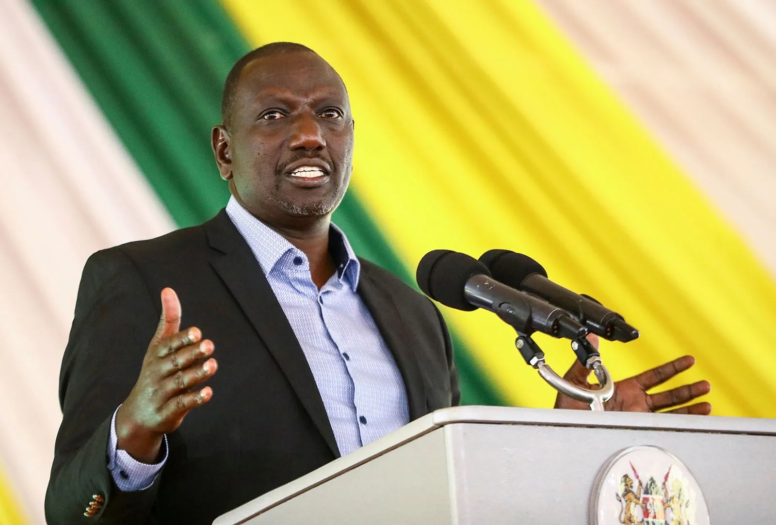 Ruto Praises Kenya Kwanza MPs for Their Track Record in Public Speech