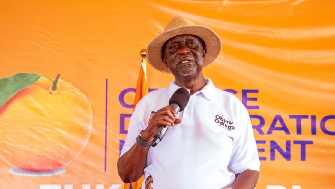 Oburu Oginga Defends ODM's Zoning Plan Amid Fears of Money Politics Before 2027