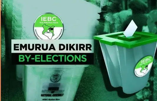 Voter Turnout and Political Dynamics in Emurua Dikirr's Recent By-Election