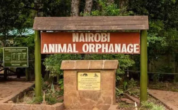 Kenya Wildlife Service Moves Nairobi Animal Orphanage to Larger Facility to Meet Growing Needs