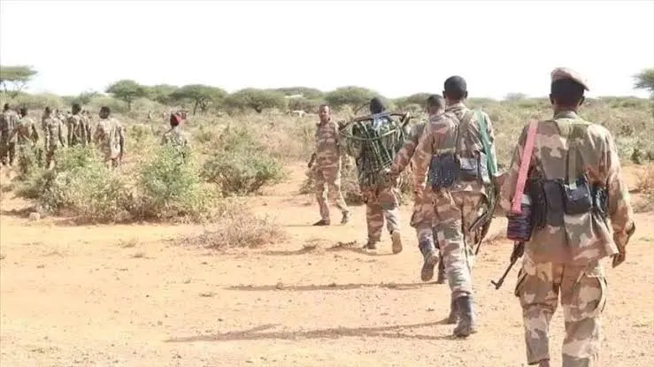 Gunfire Erupts as Al-Shabaab Militants Attack Police Camp