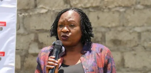 KNCHR Chairperson Claris Ogangah Clarifies Compensation Criteria for Reported Cases