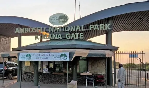 Kajiado's Amboseli National Park Takeover Faces Fresh Setback After Court Ruling
