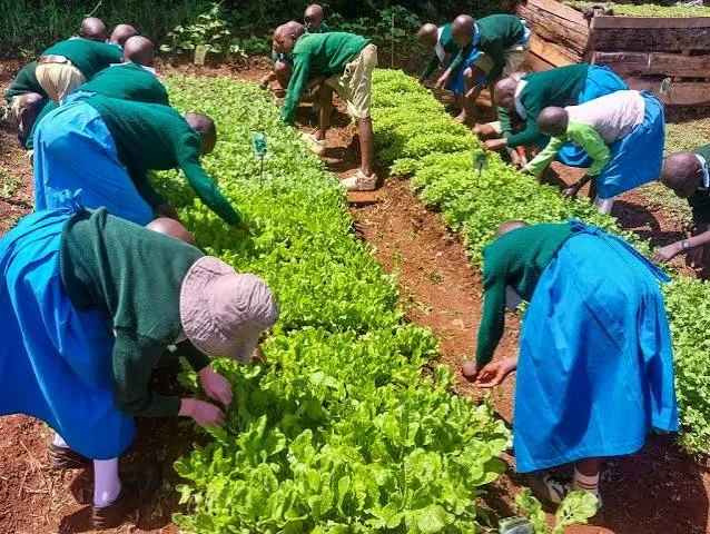 Community Gains as Radical Schools' Agricultural Projects Boost Tech Transfer and Learning Opportunities