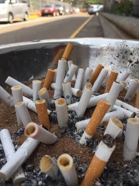 Kenyan Business Community Calls for Broader Hearings on Tobacco Bill