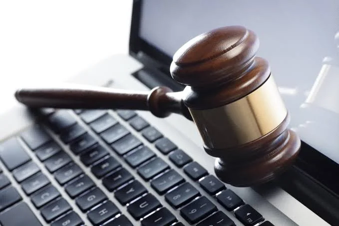 High Court Strikes Down Sections of Cybercrimes Law Empowering Website Blockade