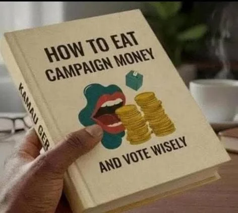 How to Navigate Campaign Finances and Vote Wisely: A Guide to Political Money and Electoral Decisions