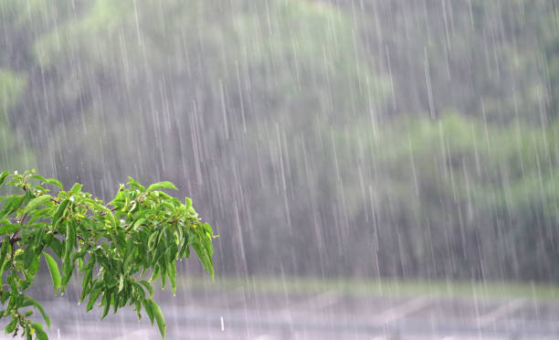 Heavy Rainfall and Flood Risks Forecast Across Kenya