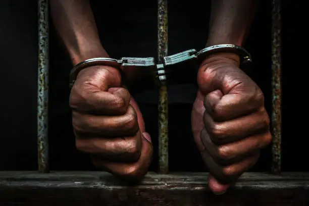 Kenyan Arrested in Zambia Amid Election Interference Investigation