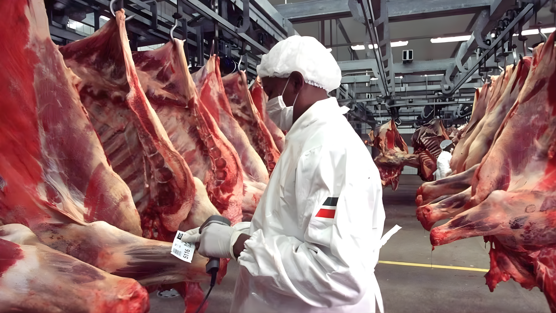 Kenyan Meat Exporters Lose Sh1 Billion in Week as Middle East Shipments Disrupt