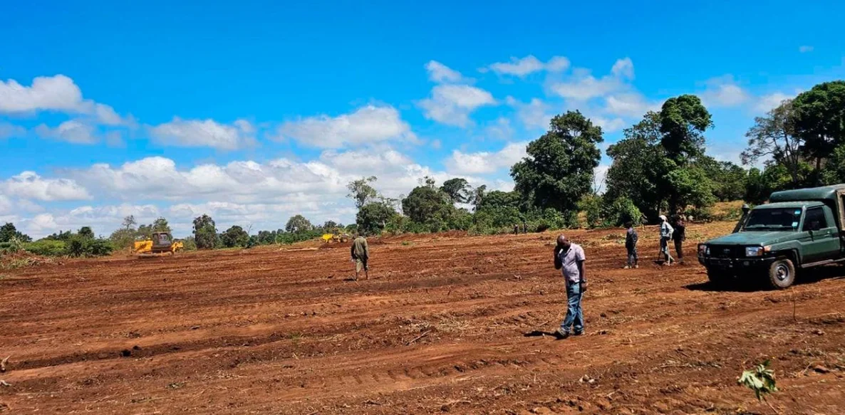 KFS to Hold Public Meeting on Imenti Forest Airstrip Despite Court Order—What’s Next?