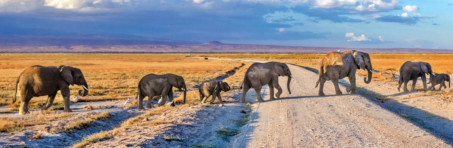 Kenyan Government Pays Ksh.32 Million to Wildlife Conflict Victims in Siaya and Kisumu