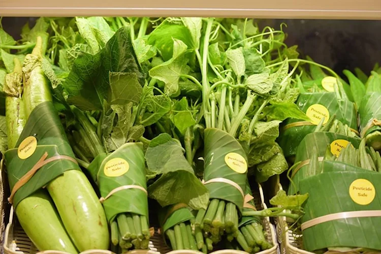 Thailand's Green Packaging Trend: Supermarkets Swap Plastics for Banana Leaves